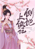 侧妃上位记侧妃上位记