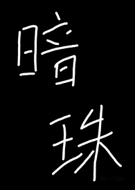 暗珠（1v1 H）暗珠（1v1 H）
